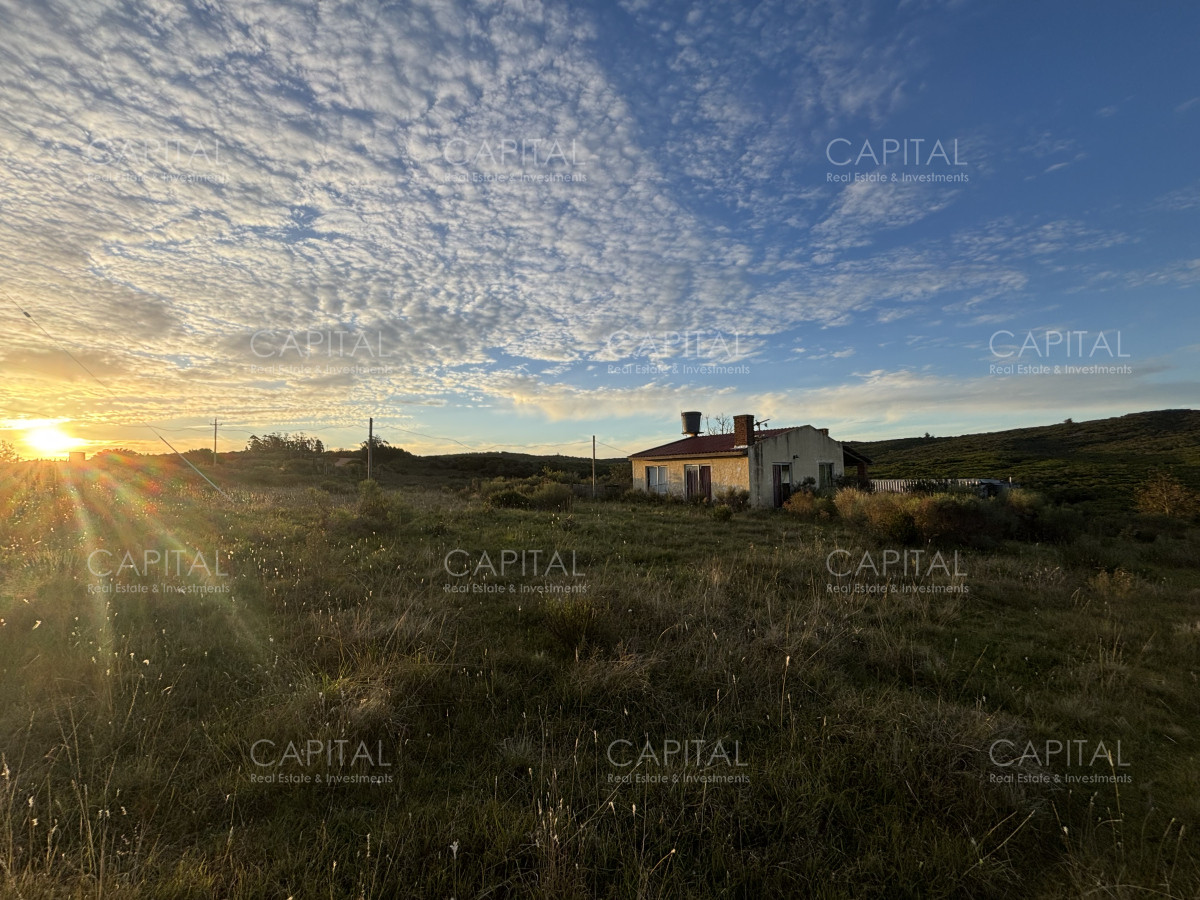 Chacra ID.38417 - Oportunidad, Chacra en venta Pueblo Garzón (Frente a Bodega Garzón)