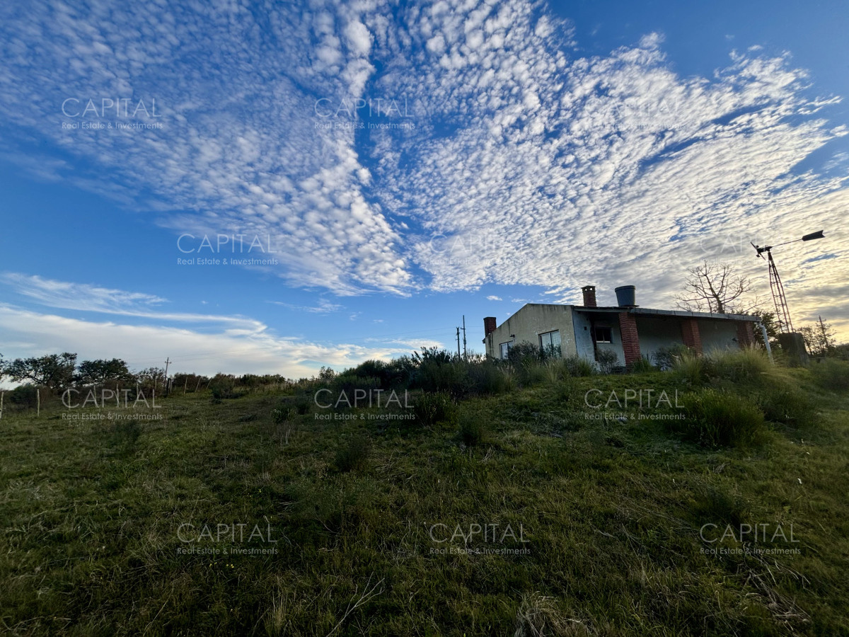 Chacra ID.38417 - Oportunidad, Chacra en venta Pueblo Garzón (Frente a Bodega Garzón)