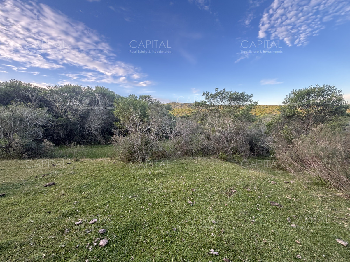 Chacra ID.38417 - Oportunidad, Chacra en venta Pueblo Garzón (Frente a Bodega Garzón)