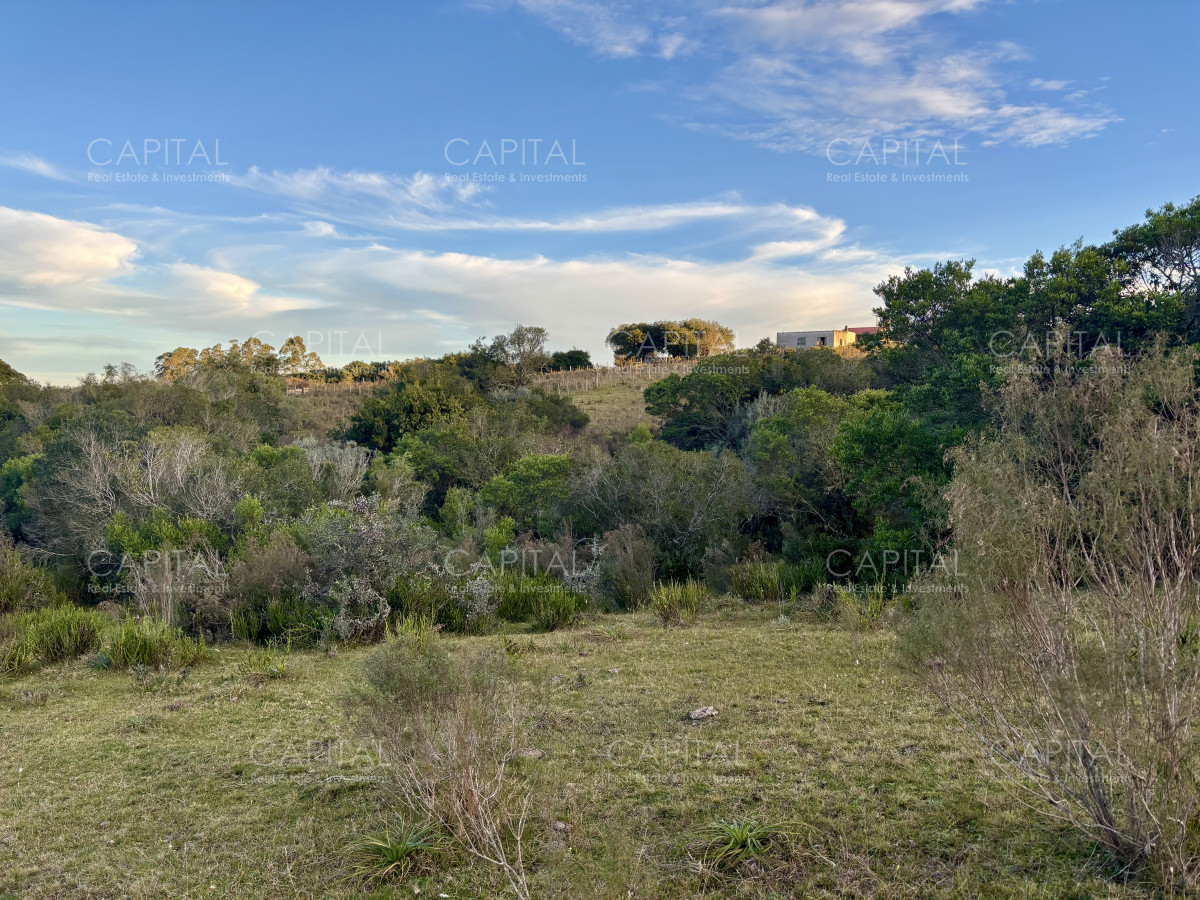Chacra ID.38417 - Oportunidad, Chacra en venta Pueblo Garzón (Frente a Bodega Garzón)