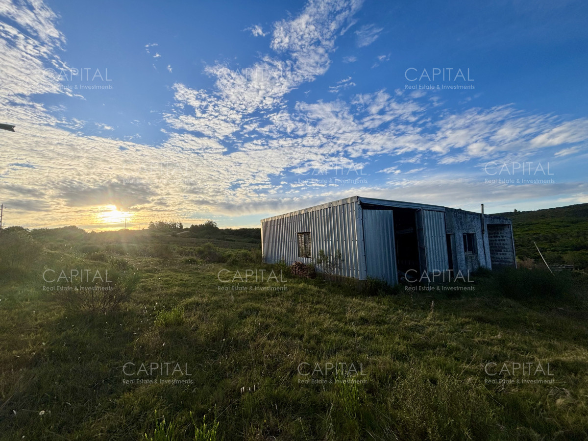 Chacra ID.38417 - Oportunidad, Chacra en venta Pueblo Garzón (Frente a Bodega Garzón)