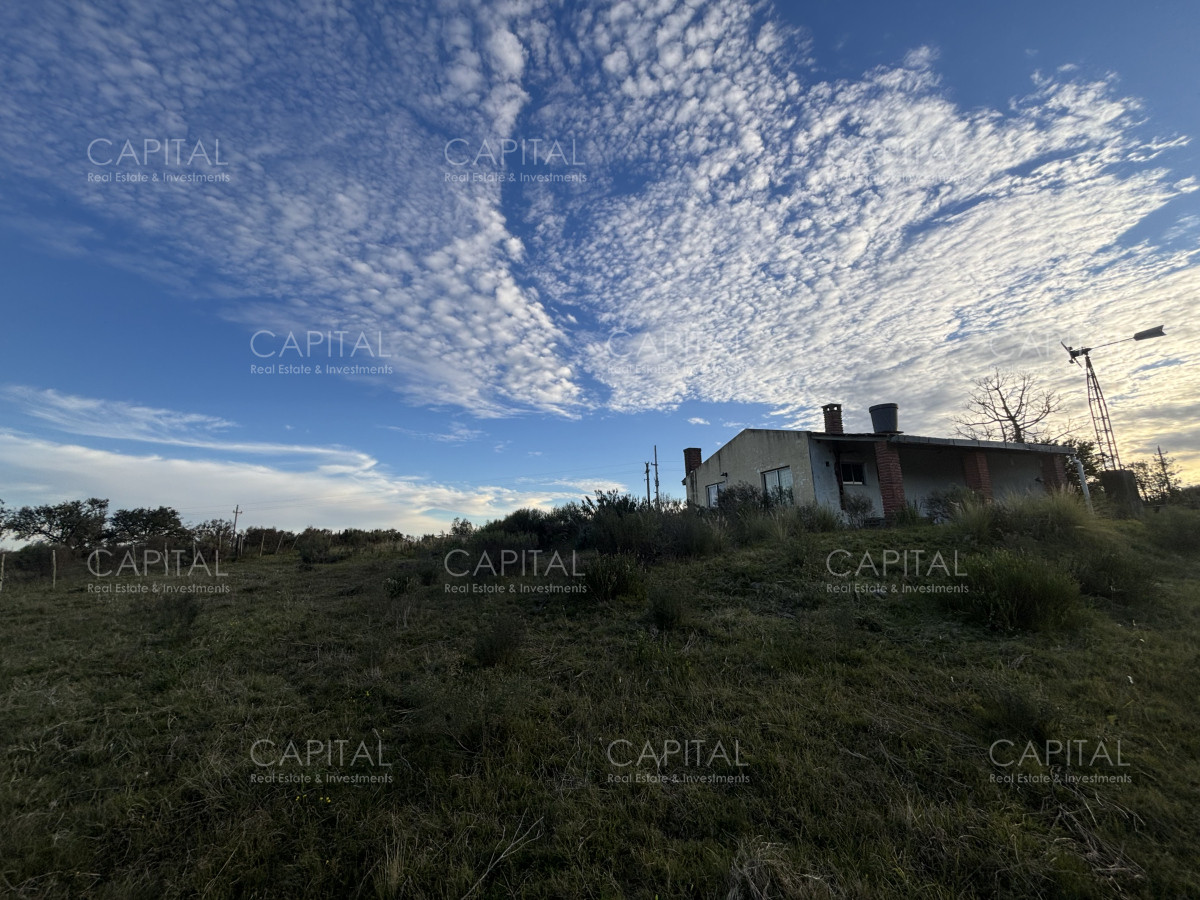 Chacra ID.38417 - Oportunidad, Chacra en venta Pueblo Garzón (Frente a Bodega Garzón)