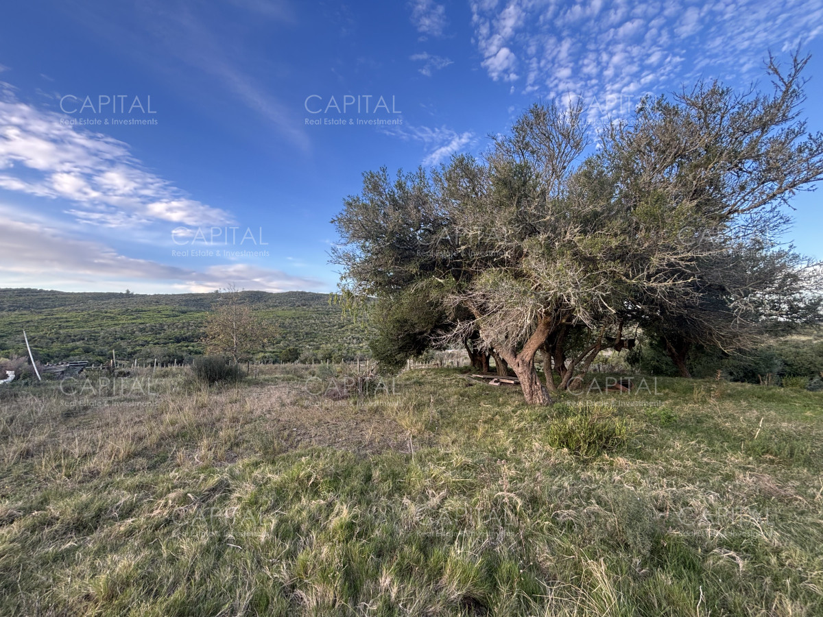 Chacra ID.38417 - Oportunidad, Chacra en venta Pueblo Garzón (Frente a Bodega Garzón)
