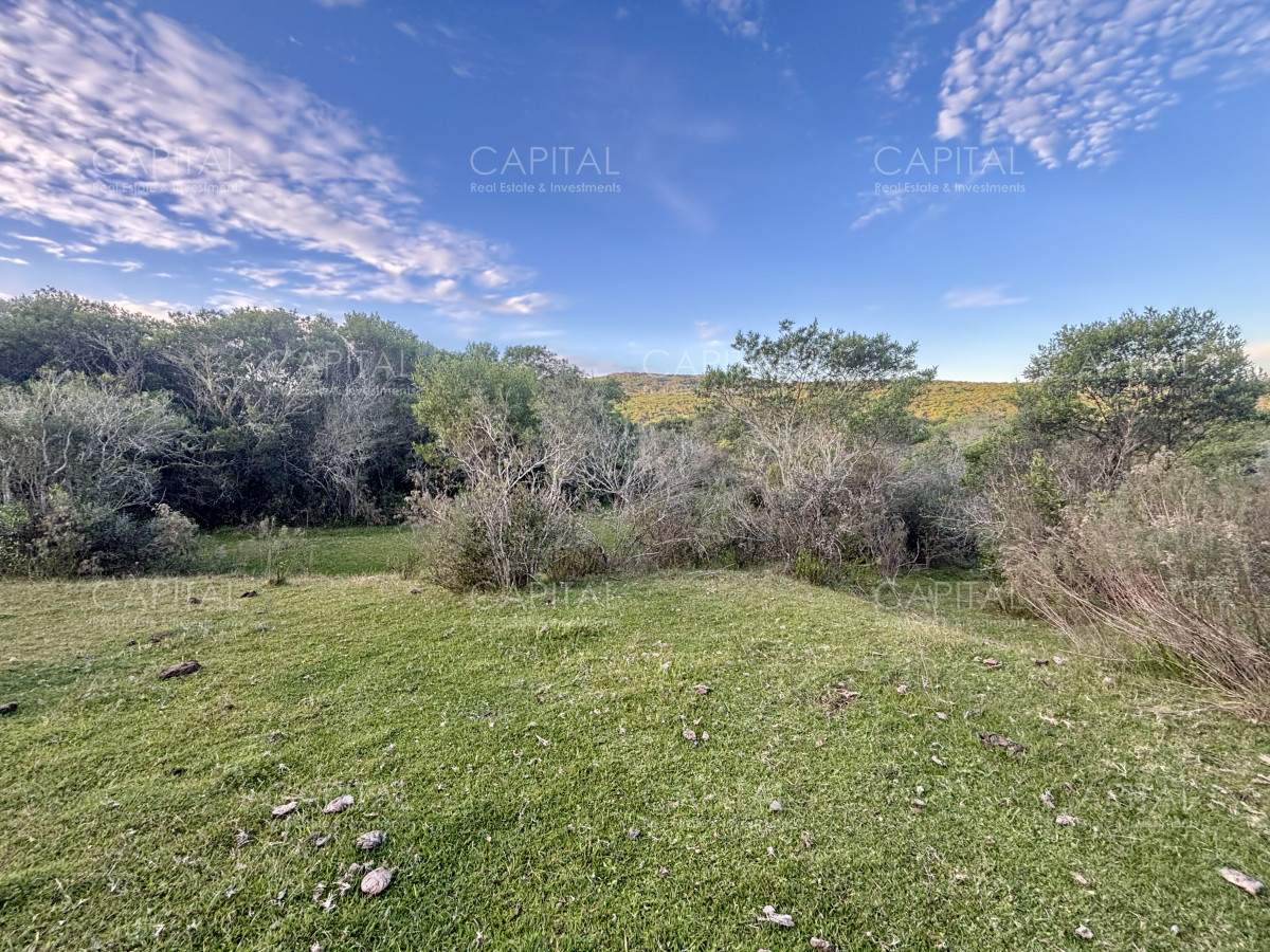 Chacra ID.38417 - Oportunidad, Chacra en venta Pueblo Garzón (Frente a Bodega Garzón)