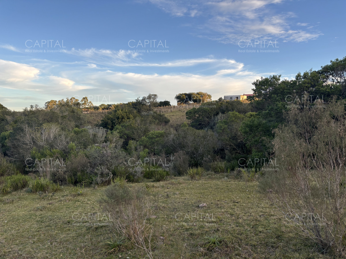 Chacra ID.38417 - Oportunidad, Chacra en venta Pueblo Garzón (Frente a Bodega Garzón)