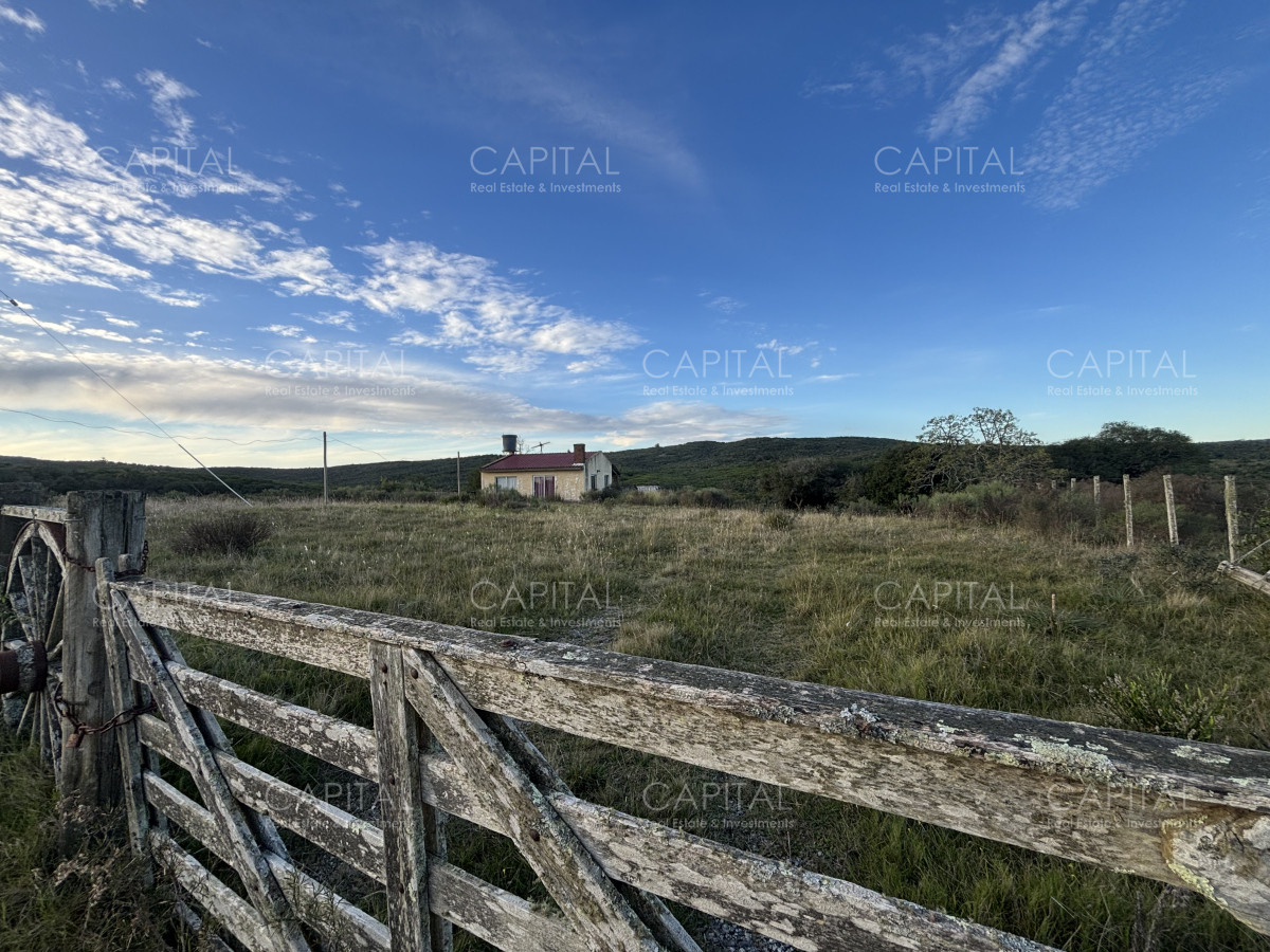 Chacra ID.38417 - Oportunidad, Chacra en venta Pueblo Garzón (Frente a Bodega Garzón)