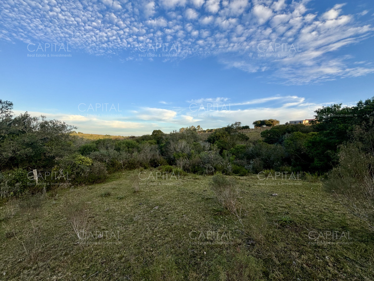 Chacra ID.38417 - Oportunidad, Chacra en venta Pueblo Garzón (Frente a Bodega Garzón)