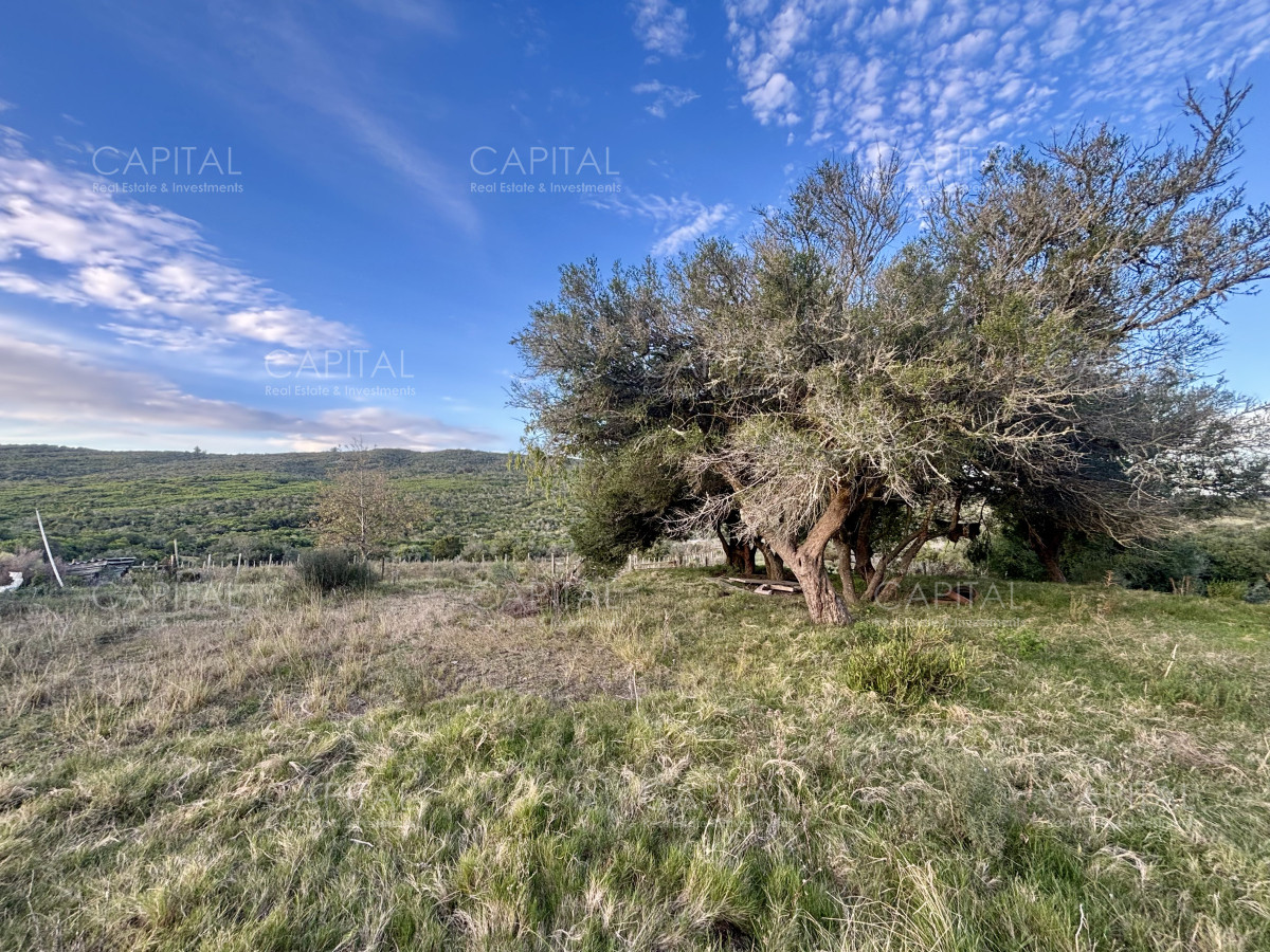 Chacra ID.38417 - Oportunidad, Chacra en venta Pueblo Garzón (Frente a Bodega Garzón)