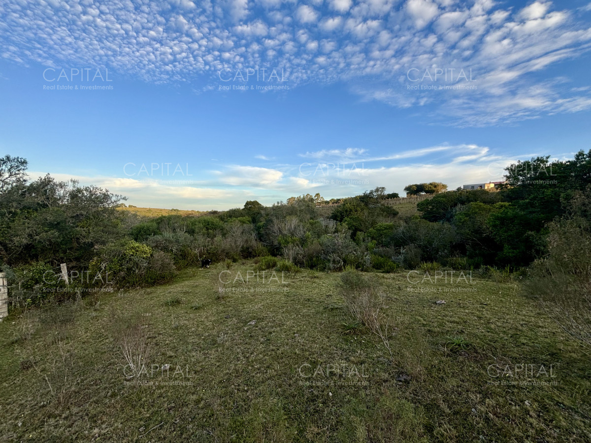 Chacra ID.38417 - Oportunidad, Chacra en venta Pueblo Garzón (Frente a Bodega Garzón)