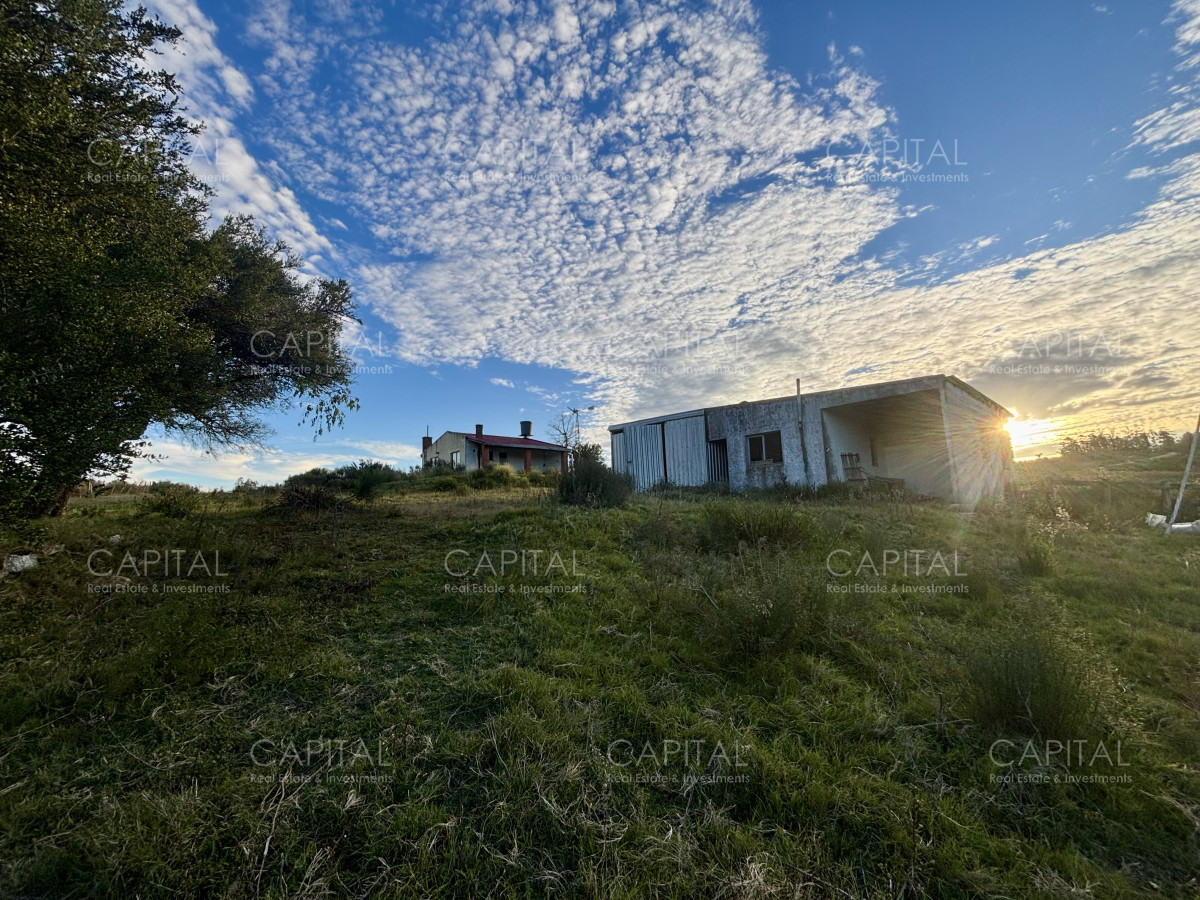 Chacra ID.38417 - Oportunidad, Chacra en venta Pueblo Garzón (Frente a Bodega Garzón)
