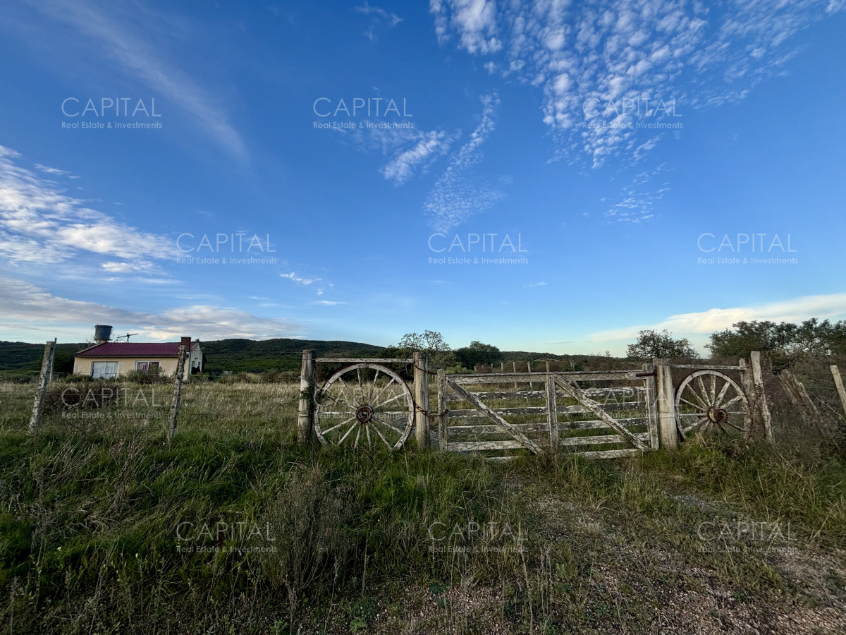 Chacra ID.38417 - Oportunidad, Chacra en venta Pueblo Garzón (Frente a Bodega Garzón)