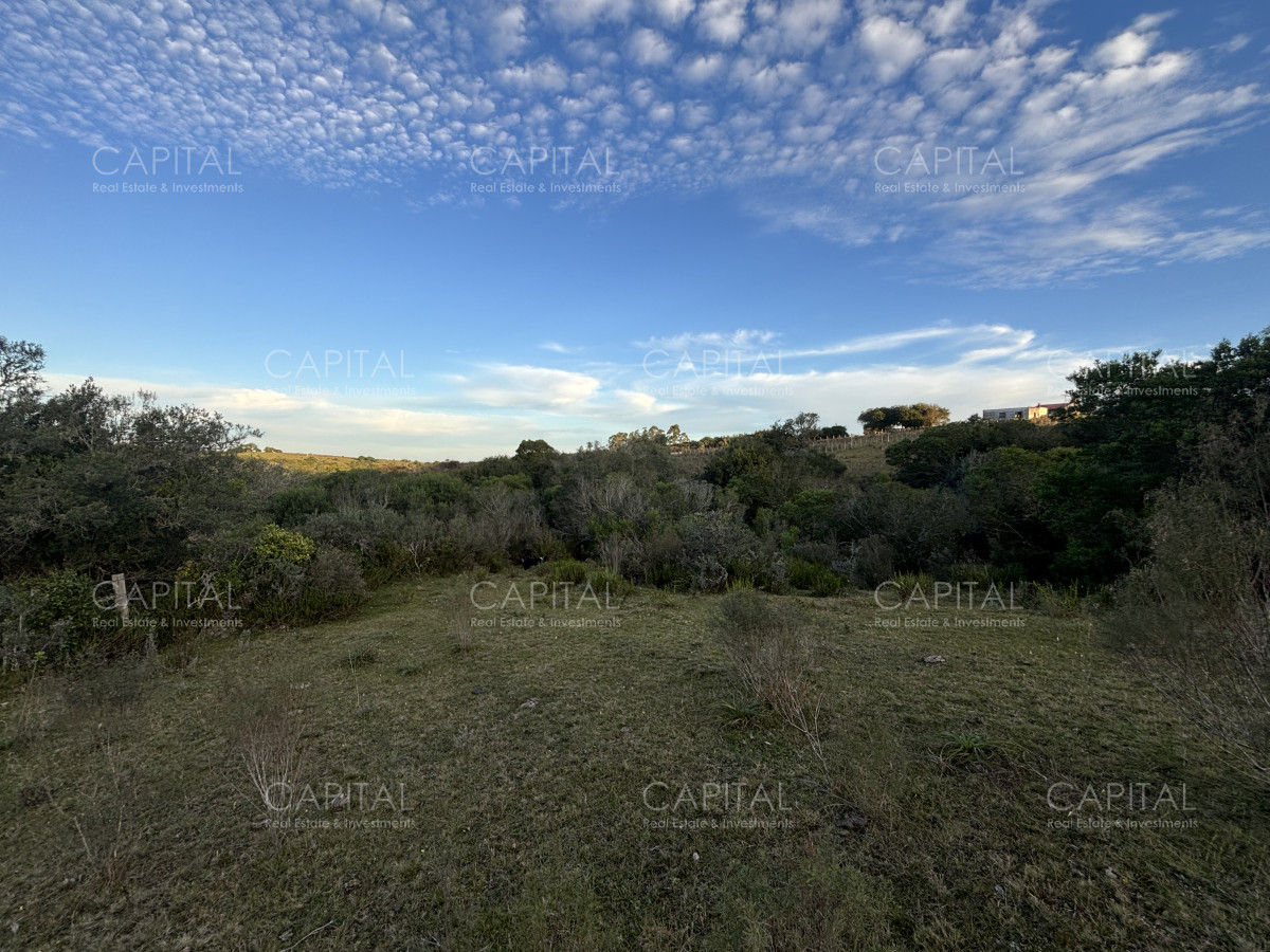 Chacra ID.38417 - Oportunidad, Chacra en venta Pueblo Garzón (Frente a Bodega Garzón)