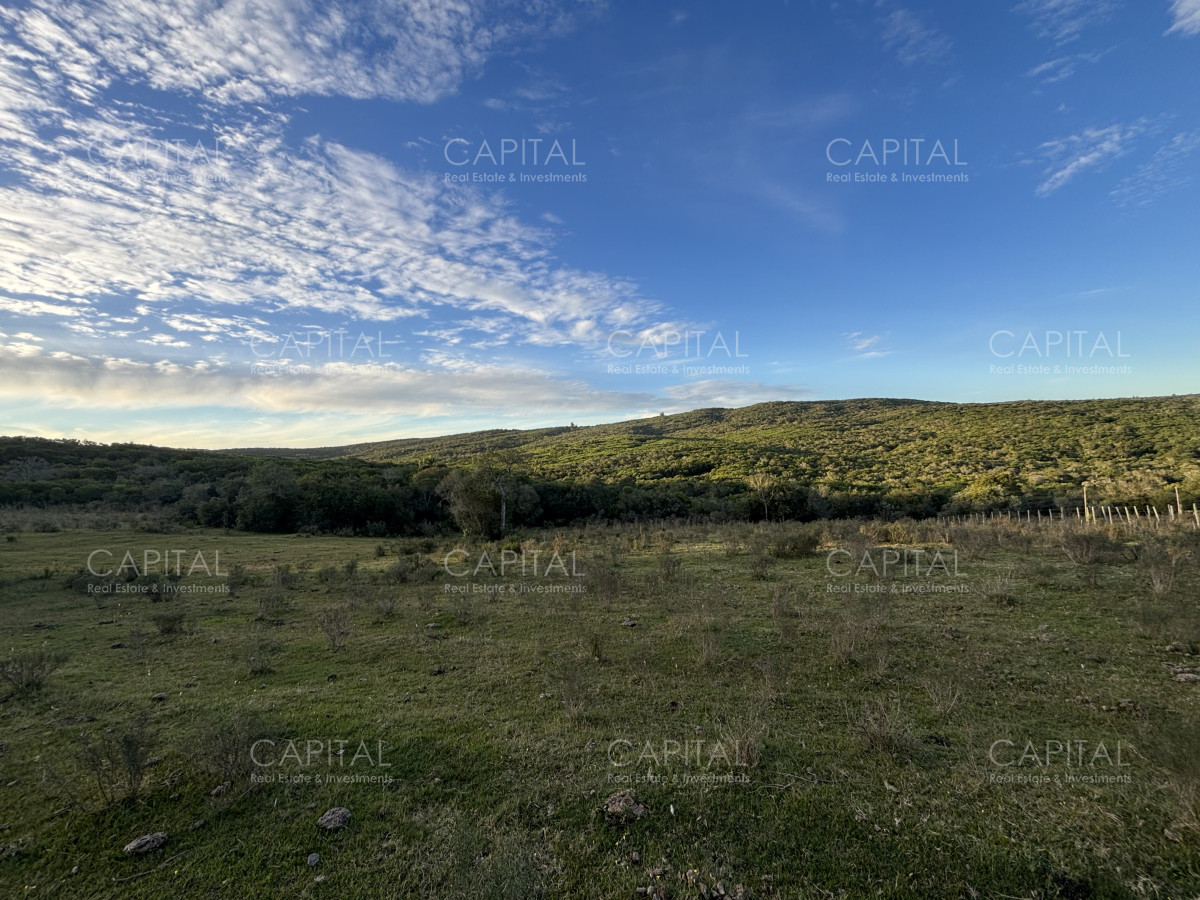 Chacra ID.38417 - Oportunidad, Chacra en venta Pueblo Garzón (Frente a Bodega Garzón)