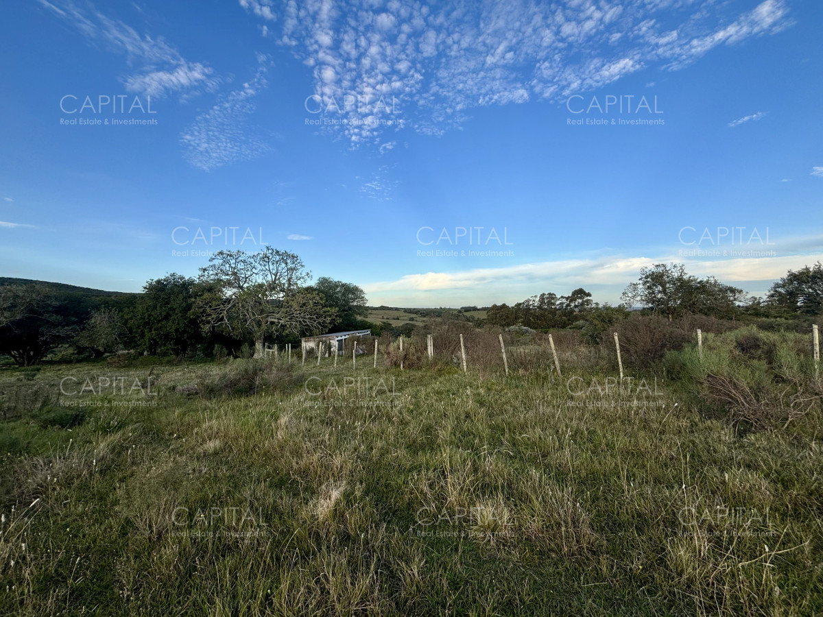 Chacra ID.38417 - Oportunidad, Chacra en venta Pueblo Garzón (Frente a Bodega Garzón)