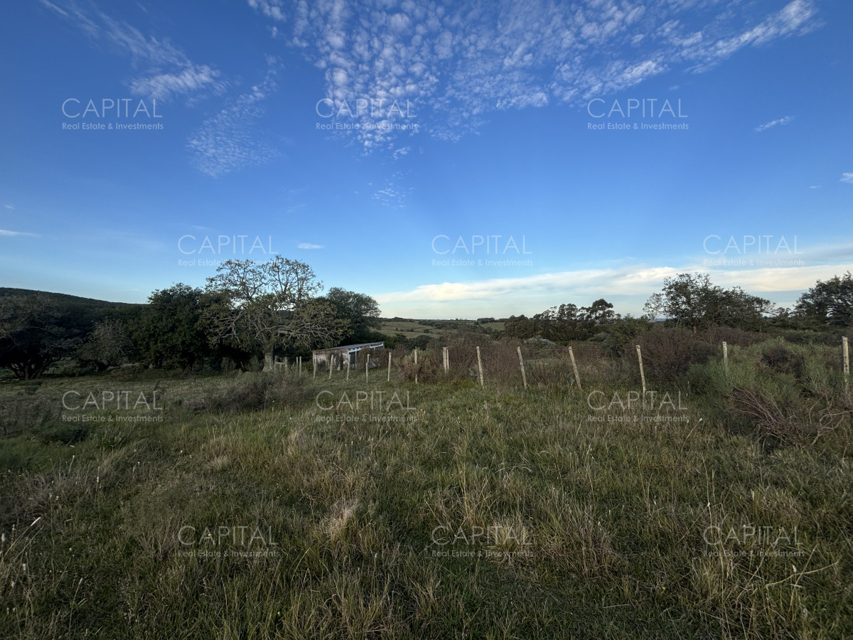 Chacra ID.38417 - Oportunidad, Chacra en venta Pueblo Garzón (Frente a Bodega Garzón)