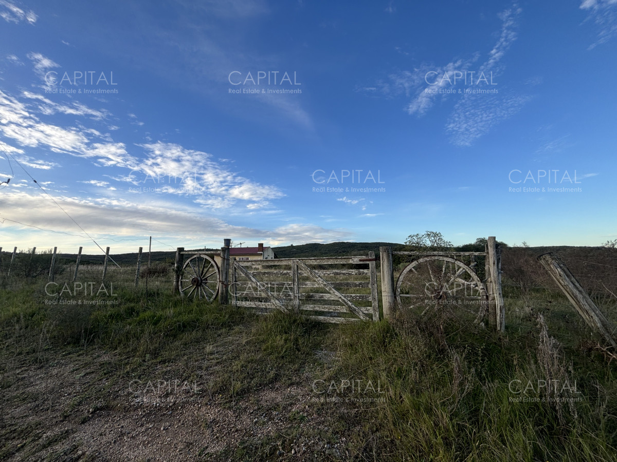 Chacra ID.38417 - Oportunidad, Chacra en venta Pueblo Garzón (Frente a Bodega Garzón)