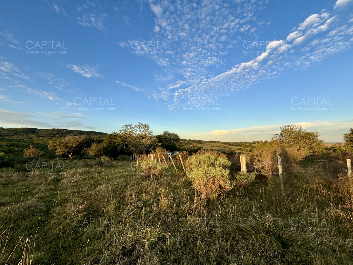 Chacra ID.38417 - Oportunidad, Chacra en venta Pueblo Garzón (Frente a Bodega Garzón)