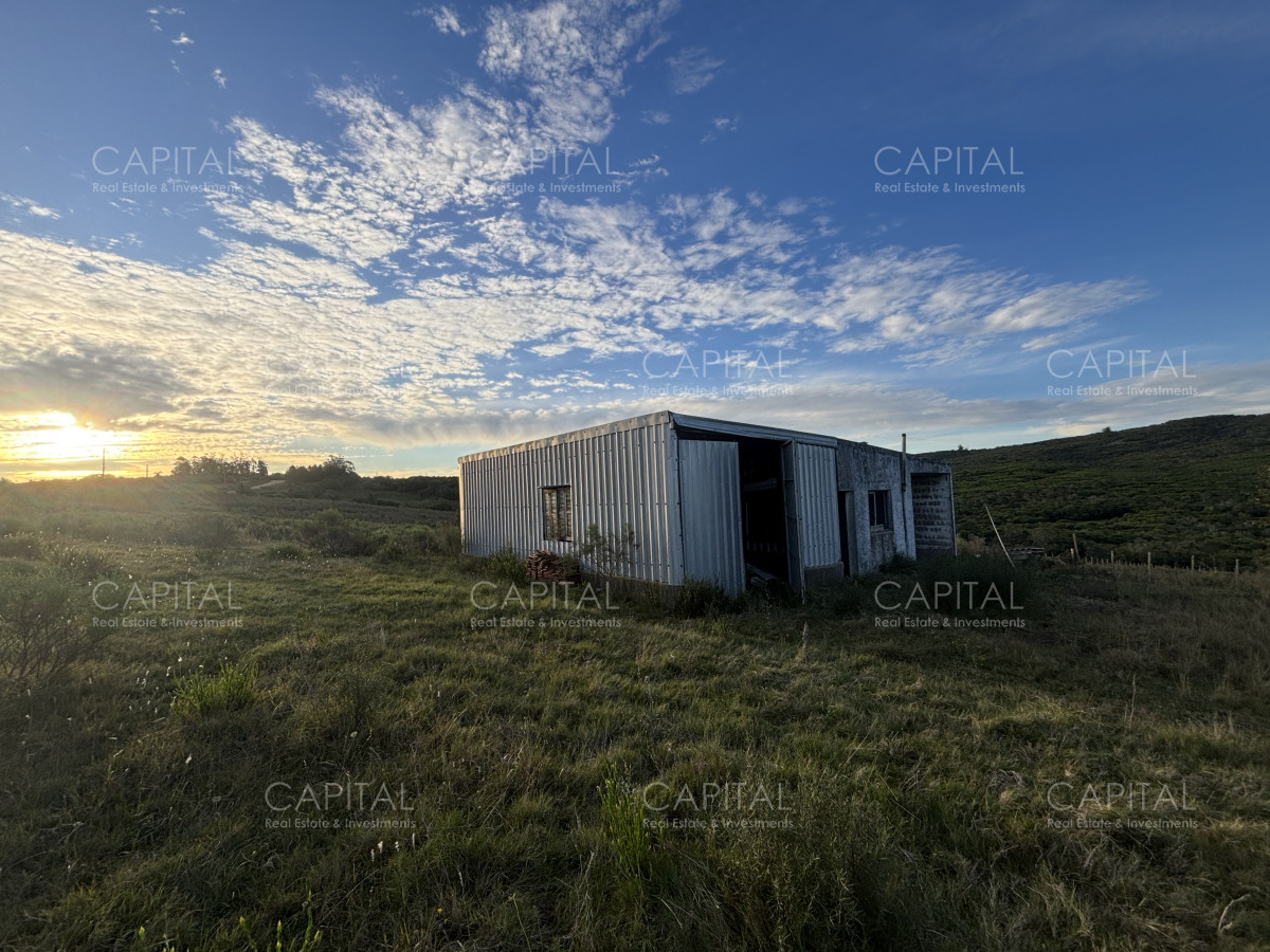Chacra ID.38417 - Oportunidad, Chacra en venta Pueblo Garzón (Frente a Bodega Garzón)