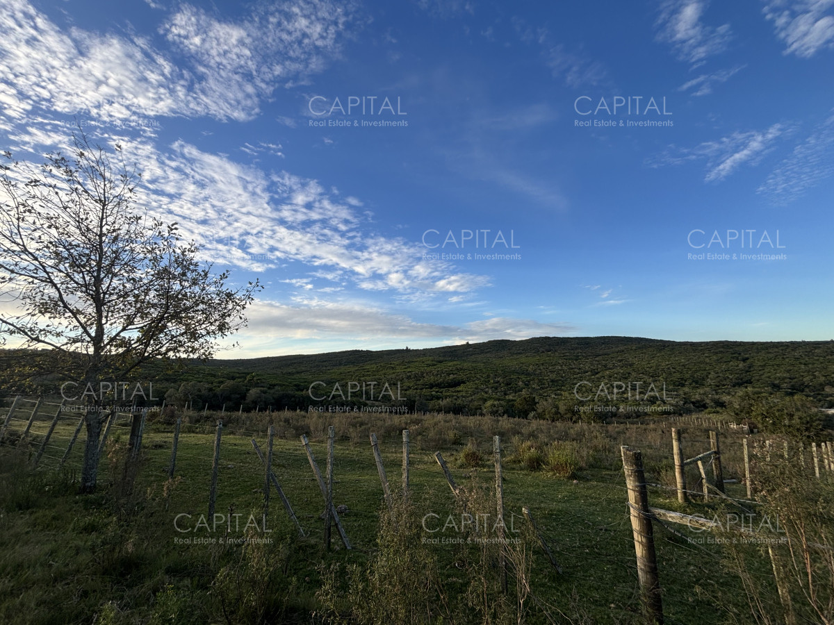 Chacra ID.38417 - Oportunidad, Chacra en venta Pueblo Garzón (Frente a Bodega Garzón)