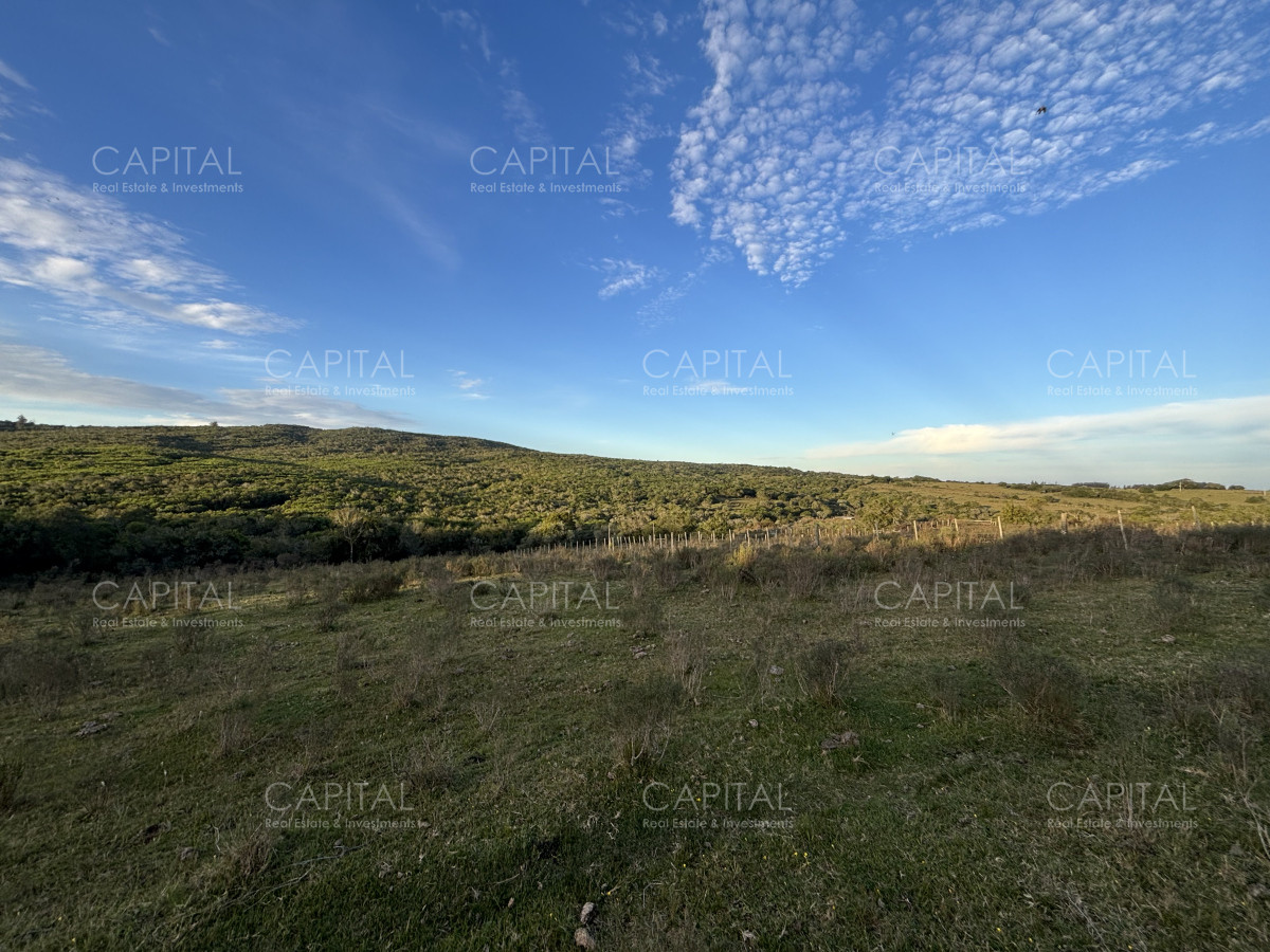 Chacra ID.38417 - Oportunidad, Chacra en venta Pueblo Garzón (Frente a Bodega Garzón)