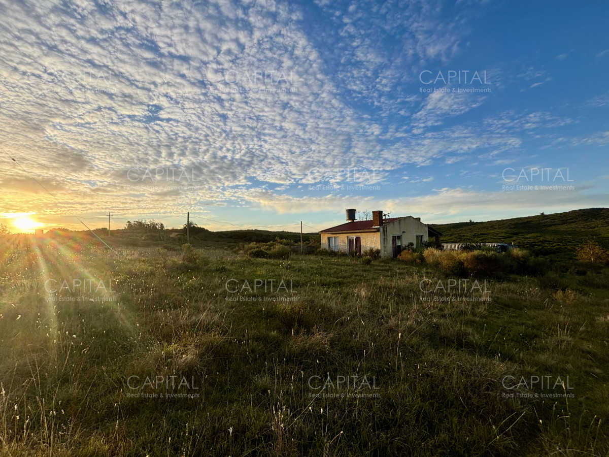 Chacra ID.38417 - Oportunidad, Chacra en venta Pueblo Garzón (Frente a Bodega Garzón)