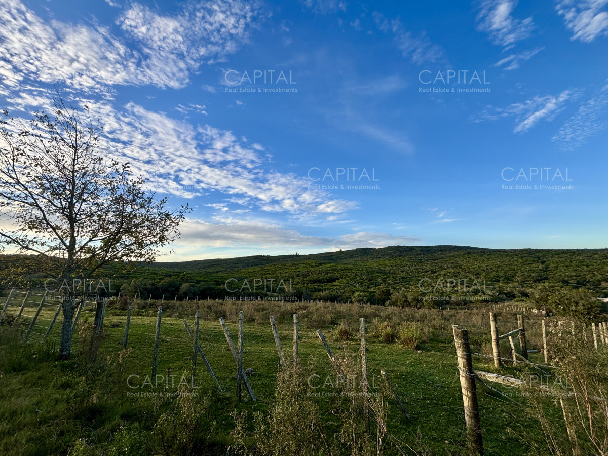 Chacra ID.38417 - Oportunidad, Chacra en venta Pueblo Garzón (Frente a Bodega Garzón)