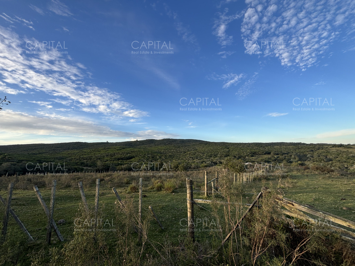 Chacra ID.38417 - Oportunidad, Chacra en venta Pueblo Garzón (Frente a Bodega Garzón)