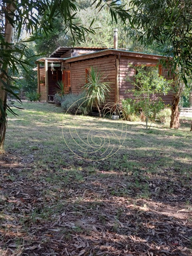 Casa ID.21091478 - Cabaña de madera con 1200 mt2 en Balneario Buenos Aires