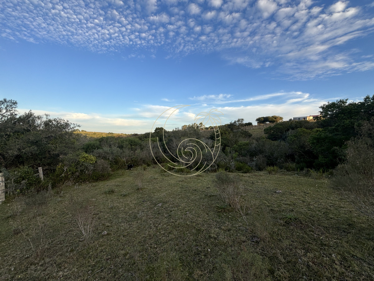 Chacra ID.21092963 - Oportunidad, Chacra en venta Pueblo Garzón (Frente a Bodega Garzón)