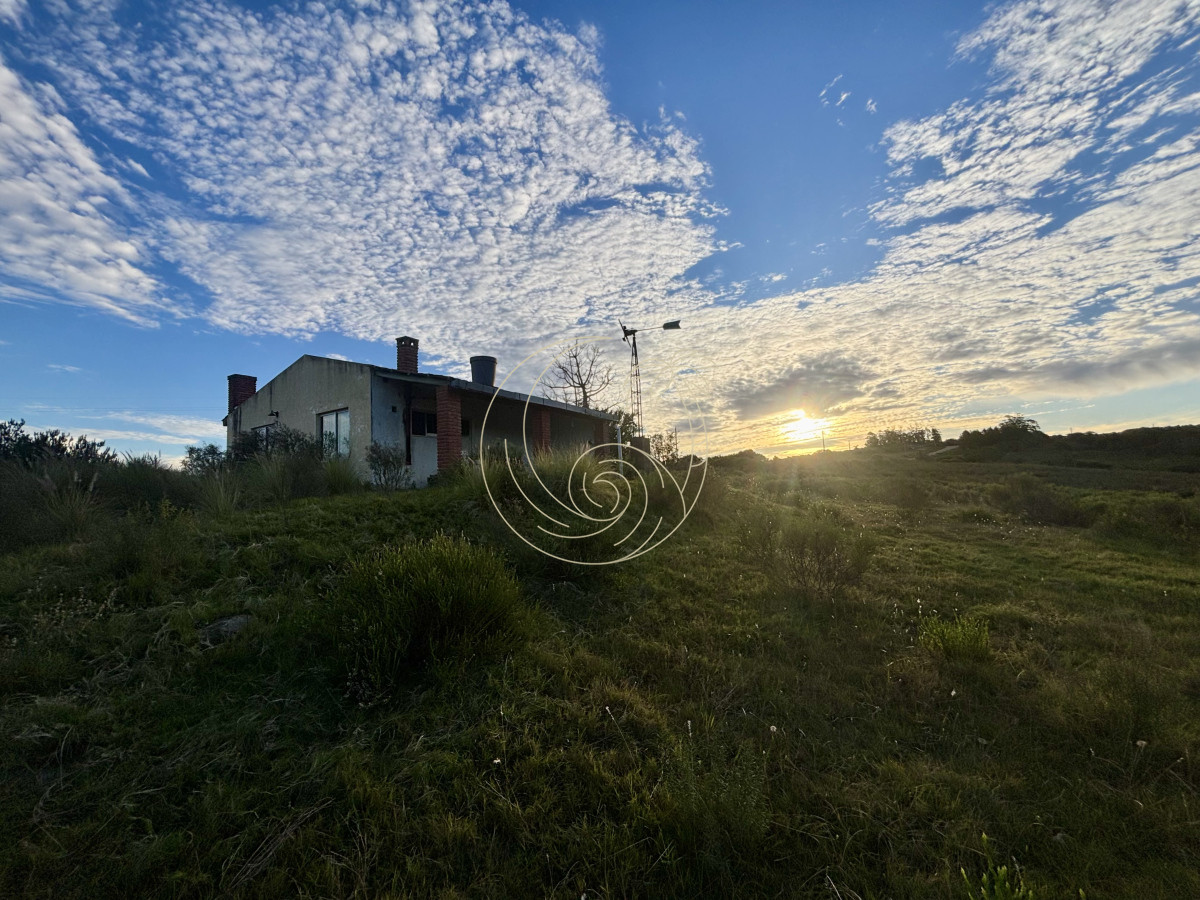 Chacra ID.21092963 - Oportunidad, Chacra en venta Pueblo Garzón (Frente a Bodega Garzón)