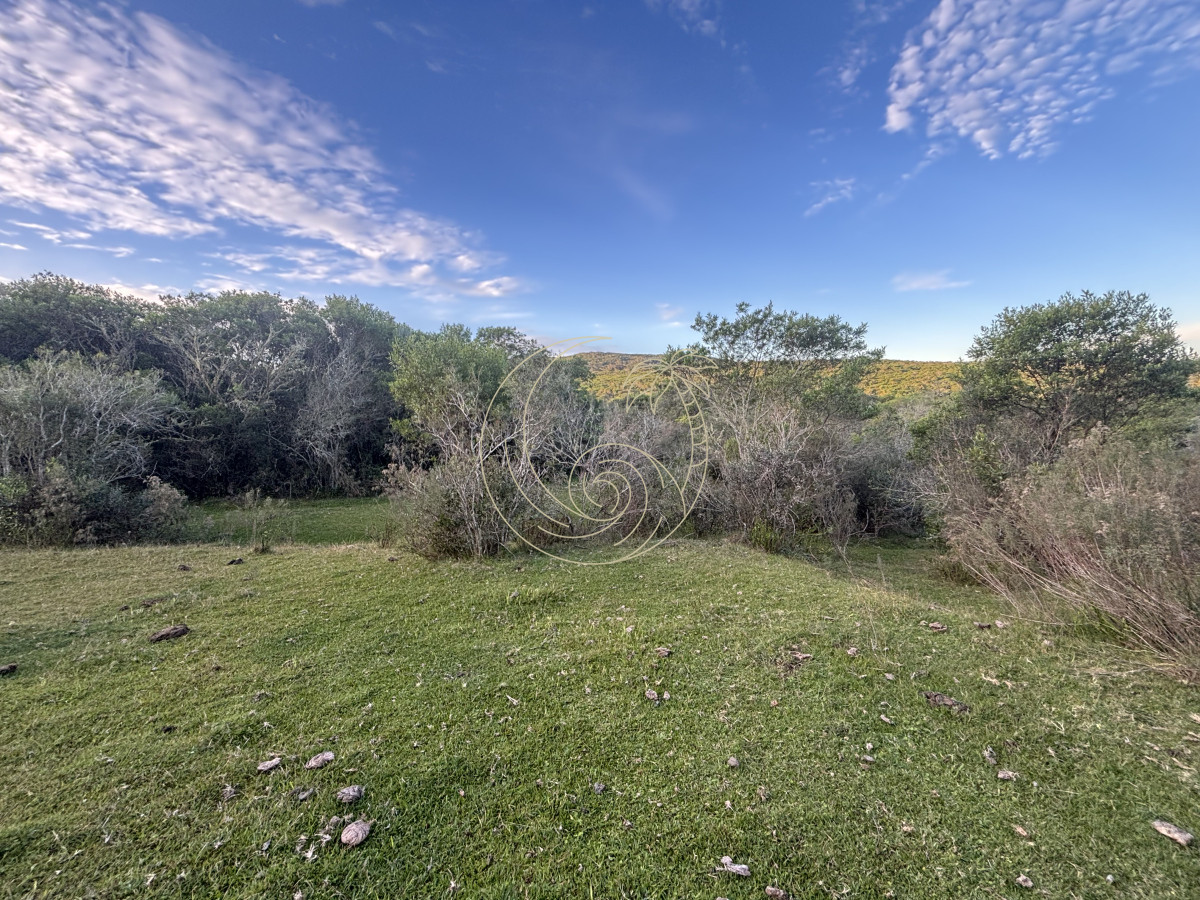 Chacra ID.21092963 - Oportunidad, Chacra en venta Pueblo Garzón (Frente a Bodega Garzón)