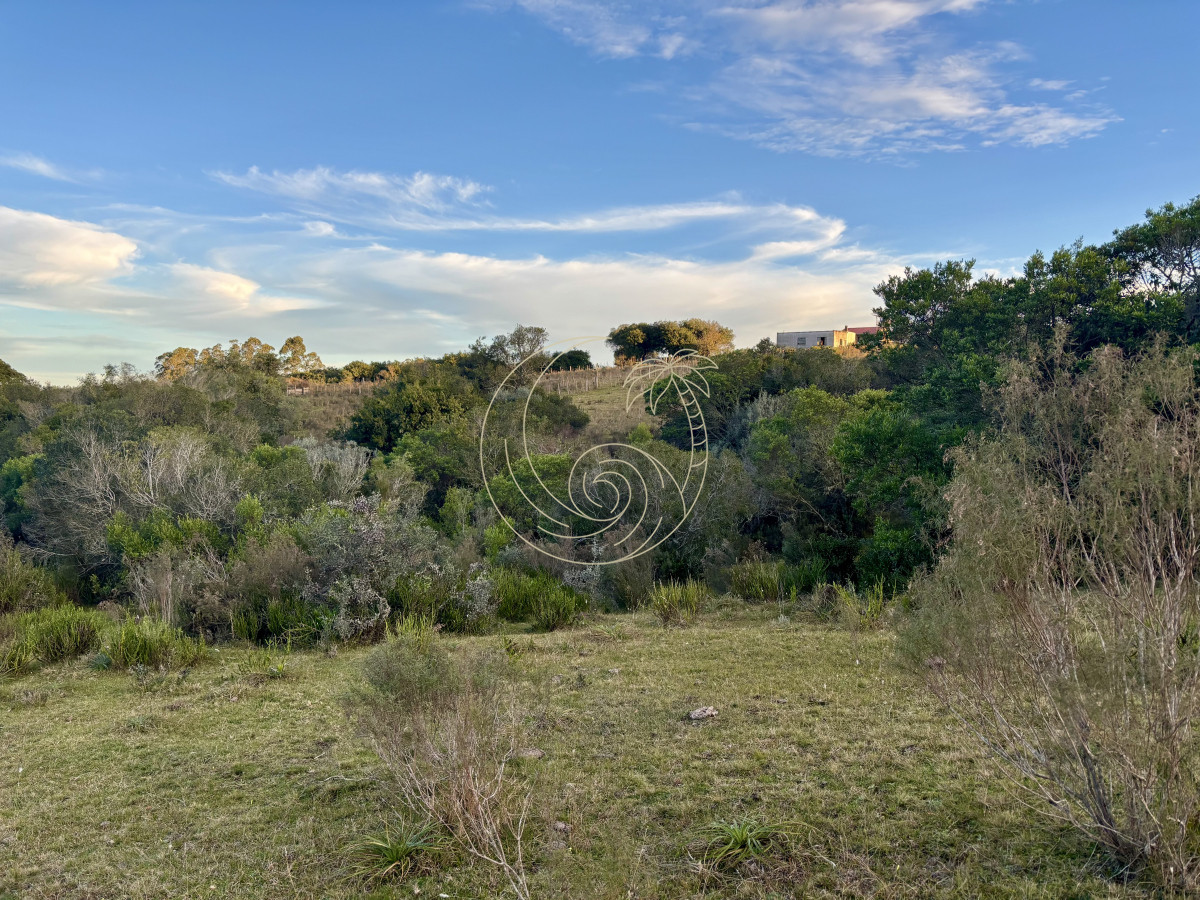 Chacra ID.21092963 - Oportunidad, Chacra en venta Pueblo Garzón (Frente a Bodega Garzón)