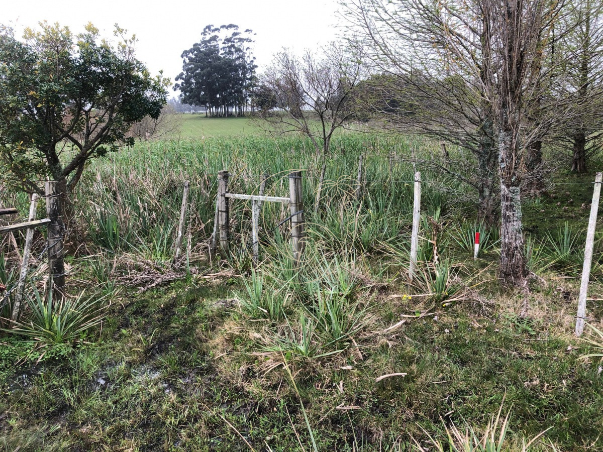 Chacra ID.21092415 - Chacra de 5 hectareas pegada al Barrio Cerrado El Quijote - La Barra 