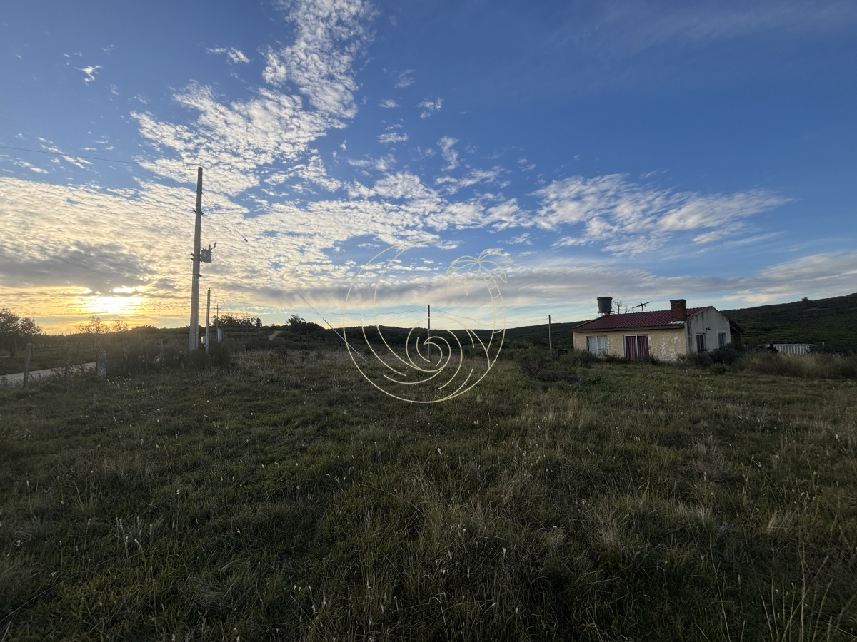 Chacra ID.21092963 - Oportunidad, Chacra en venta Pueblo Garzón (Frente a Bodega Garzón)