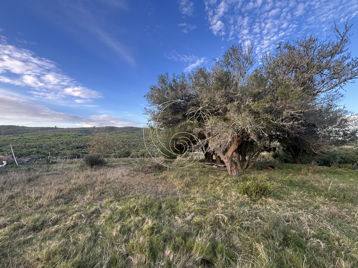 Chacra ID.21092963 - Oportunidad, Chacra en venta Pueblo Garzón (Frente a Bodega Garzón)