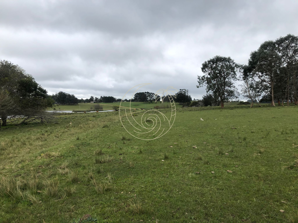 Chacra ID.21092415 - Chacra de 5 hectareas pegada al Barrio Cerrado El Quijote - La Barra 