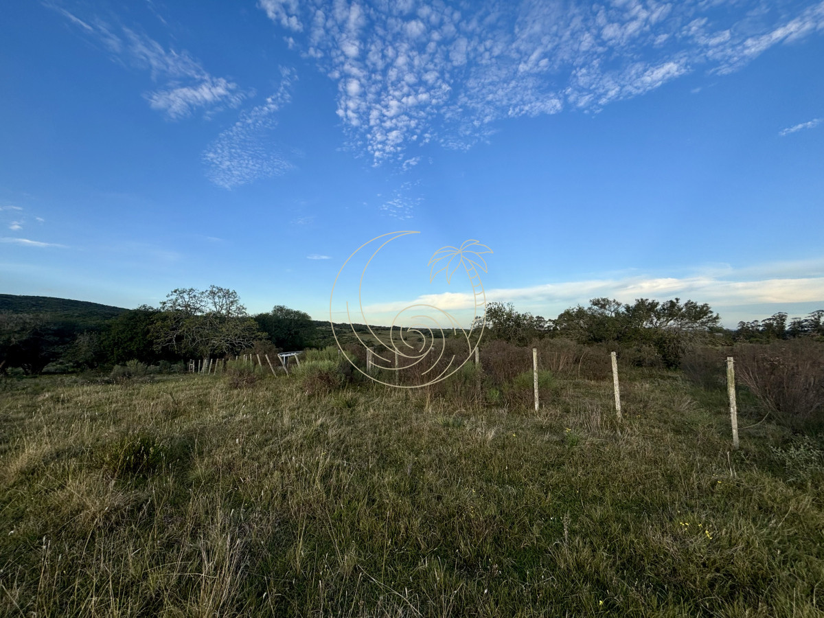 Chacra ID.21092963 - Oportunidad, Chacra en venta Pueblo Garzón (Frente a Bodega Garzón)