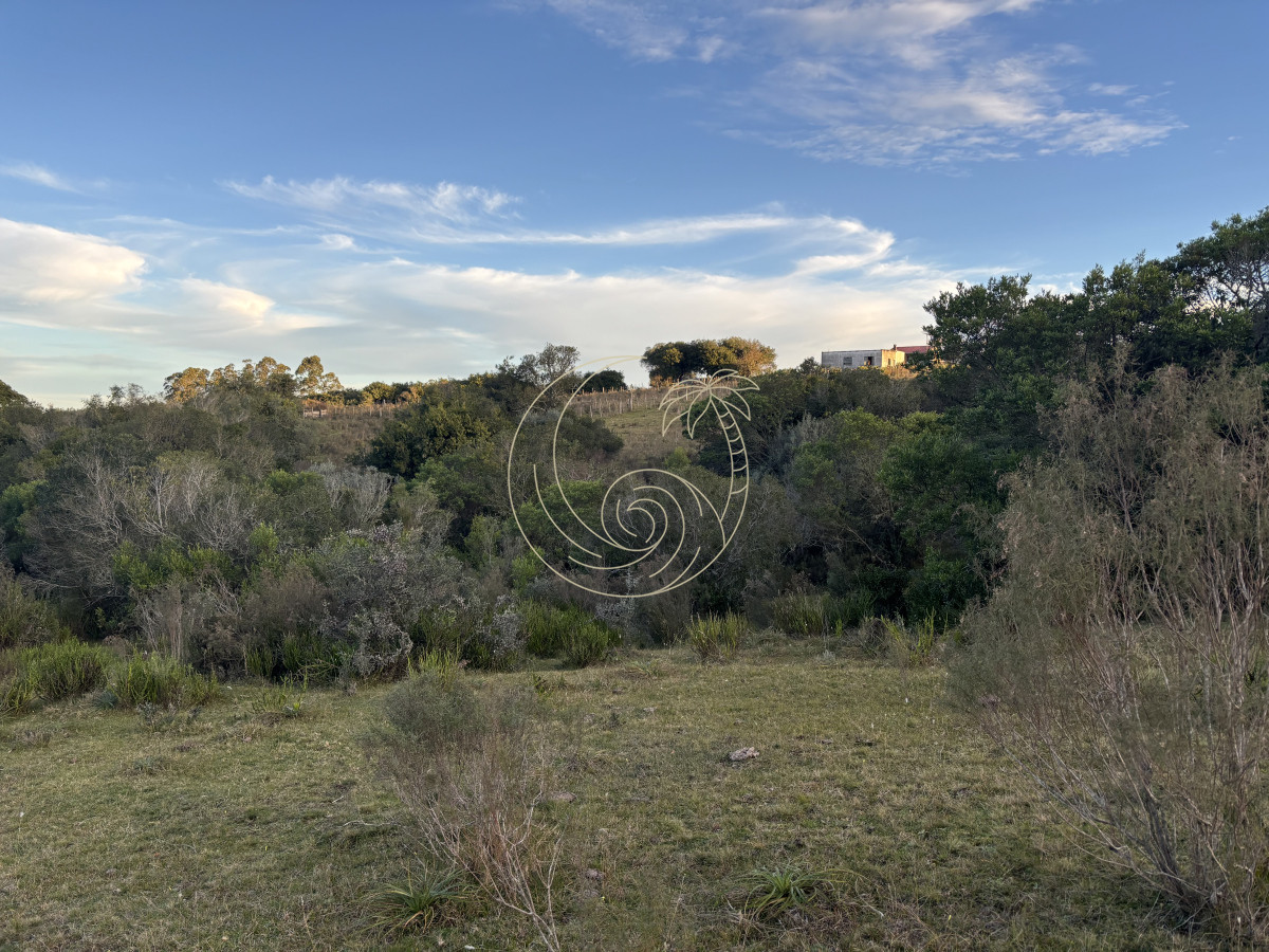 Chacra ID.21092963 - Oportunidad, Chacra en venta Pueblo Garzón (Frente a Bodega Garzón)