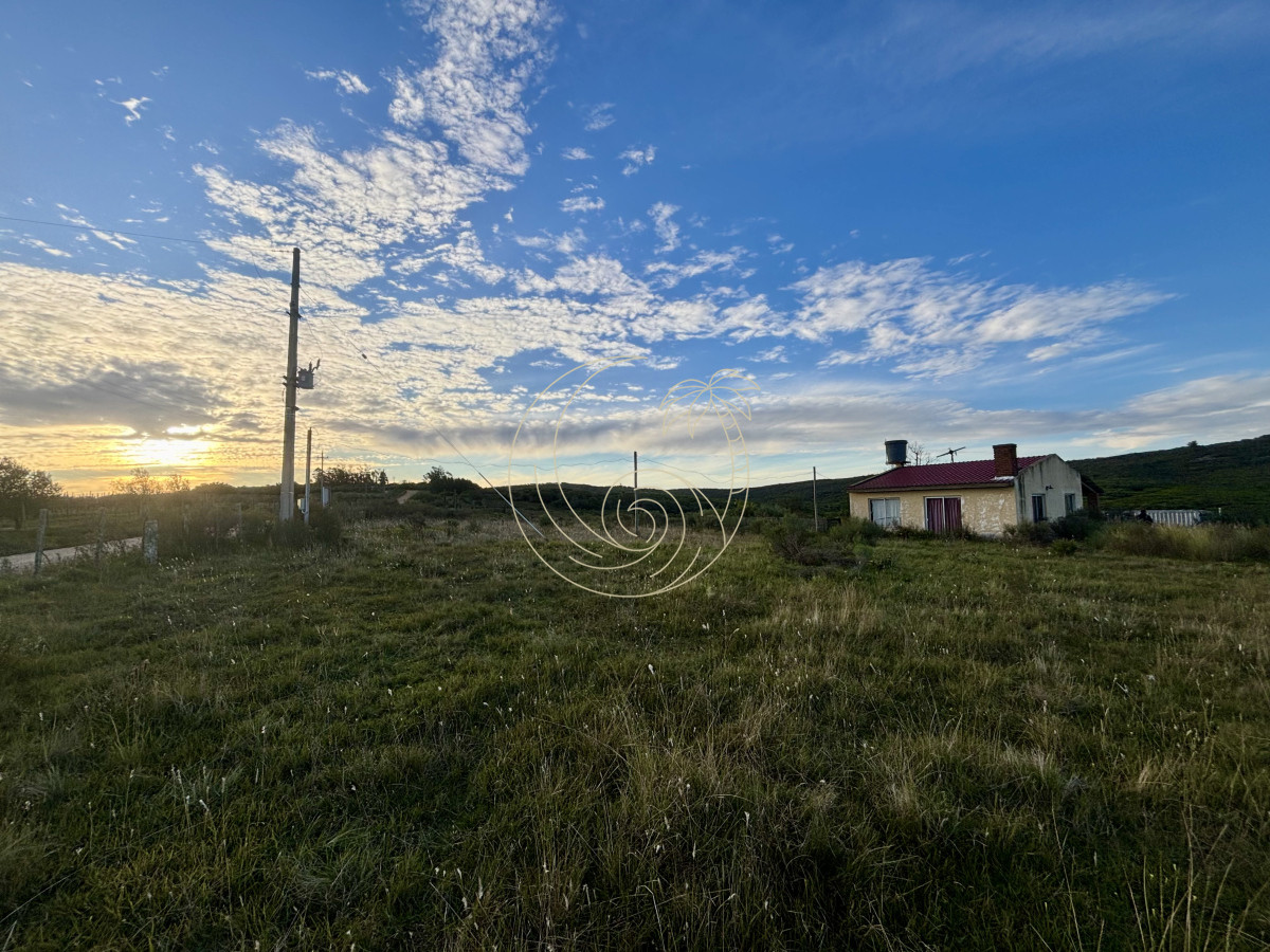 Chacra ID.21092963 - Oportunidad, Chacra en venta Pueblo Garzón (Frente a Bodega Garzón)