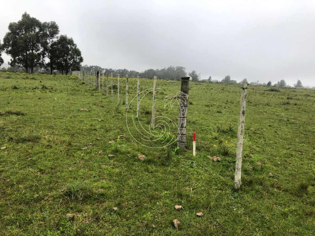 Chacra ID.21092415 - Chacra de 5 hectareas pegada al Barrio Cerrado El Quijote - La Barra 