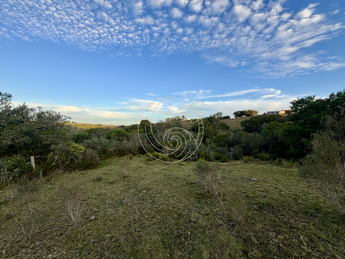 Chacra ID.21092963 - Oportunidad, Chacra en venta Pueblo Garzón (Frente a Bodega Garzón)