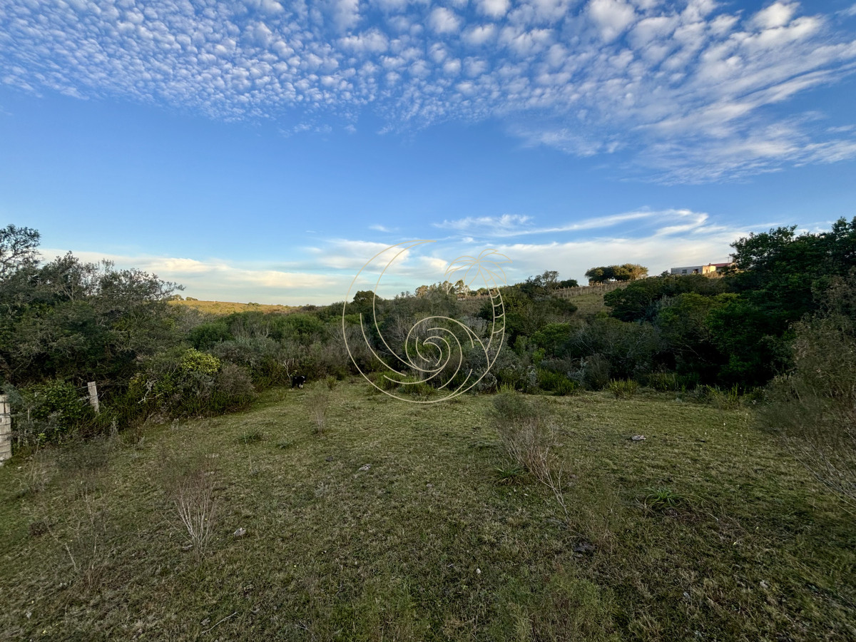Chacra ID.21092963 - Oportunidad, Chacra en venta Pueblo Garzón (Frente a Bodega Garzón)