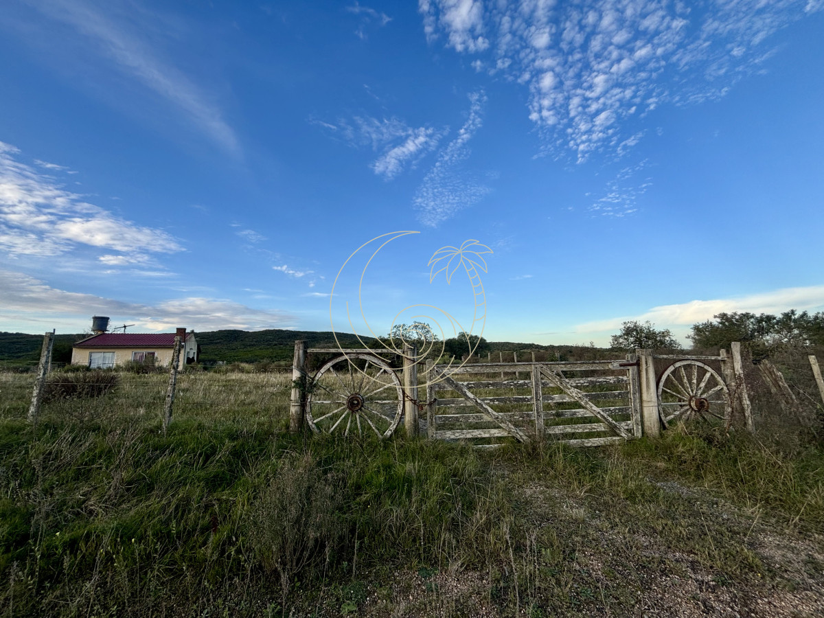 Chacra ID.21092963 - Oportunidad, Chacra en venta Pueblo Garzón (Frente a Bodega Garzón)