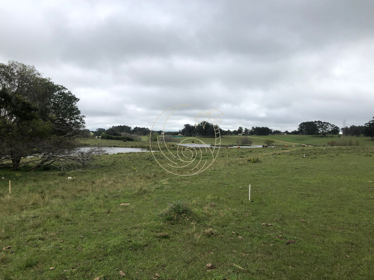 Chacra ID.21092415 - Chacra de 5 hectareas pegada al Barrio Cerrado El Quijote - La Barra 