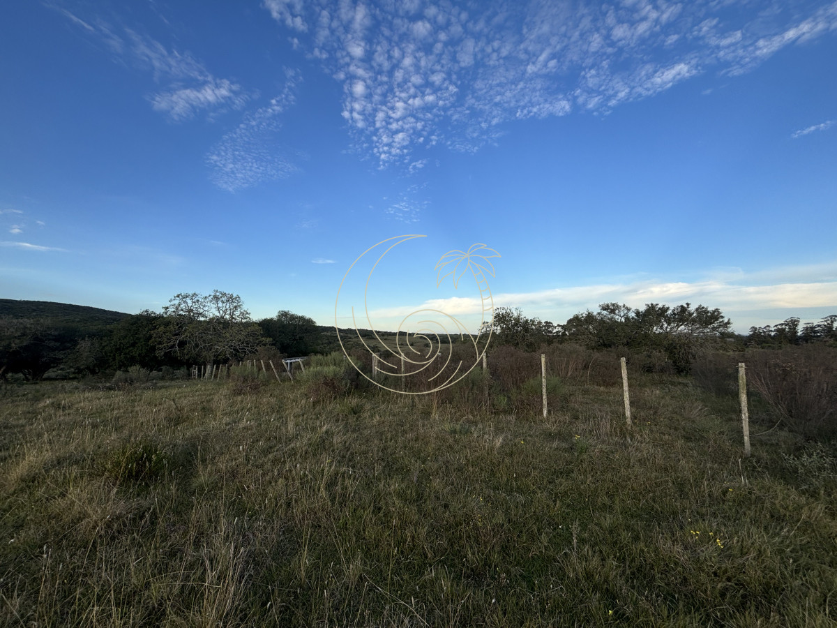 Chacra ID.21092963 - Oportunidad, Chacra en venta Pueblo Garzón (Frente a Bodega Garzón)