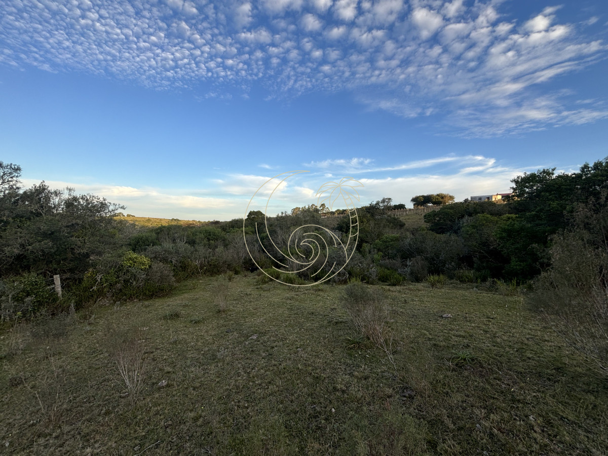 Chacra ID.21092963 - Oportunidad, Chacra en venta Pueblo Garzón (Frente a Bodega Garzón)