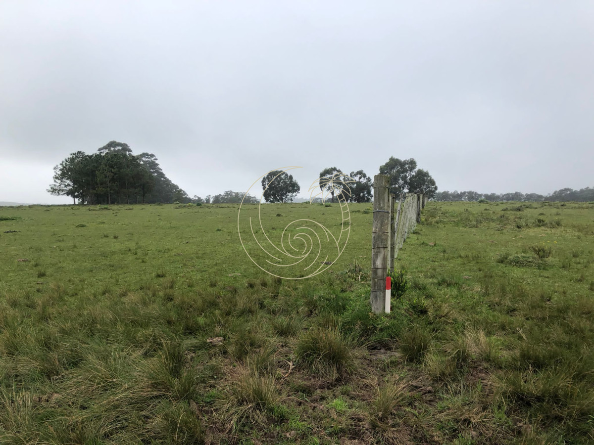 Chacra ID.21092415 - Chacra de 5 hectareas pegada al Barrio Cerrado El Quijote - La Barra 
