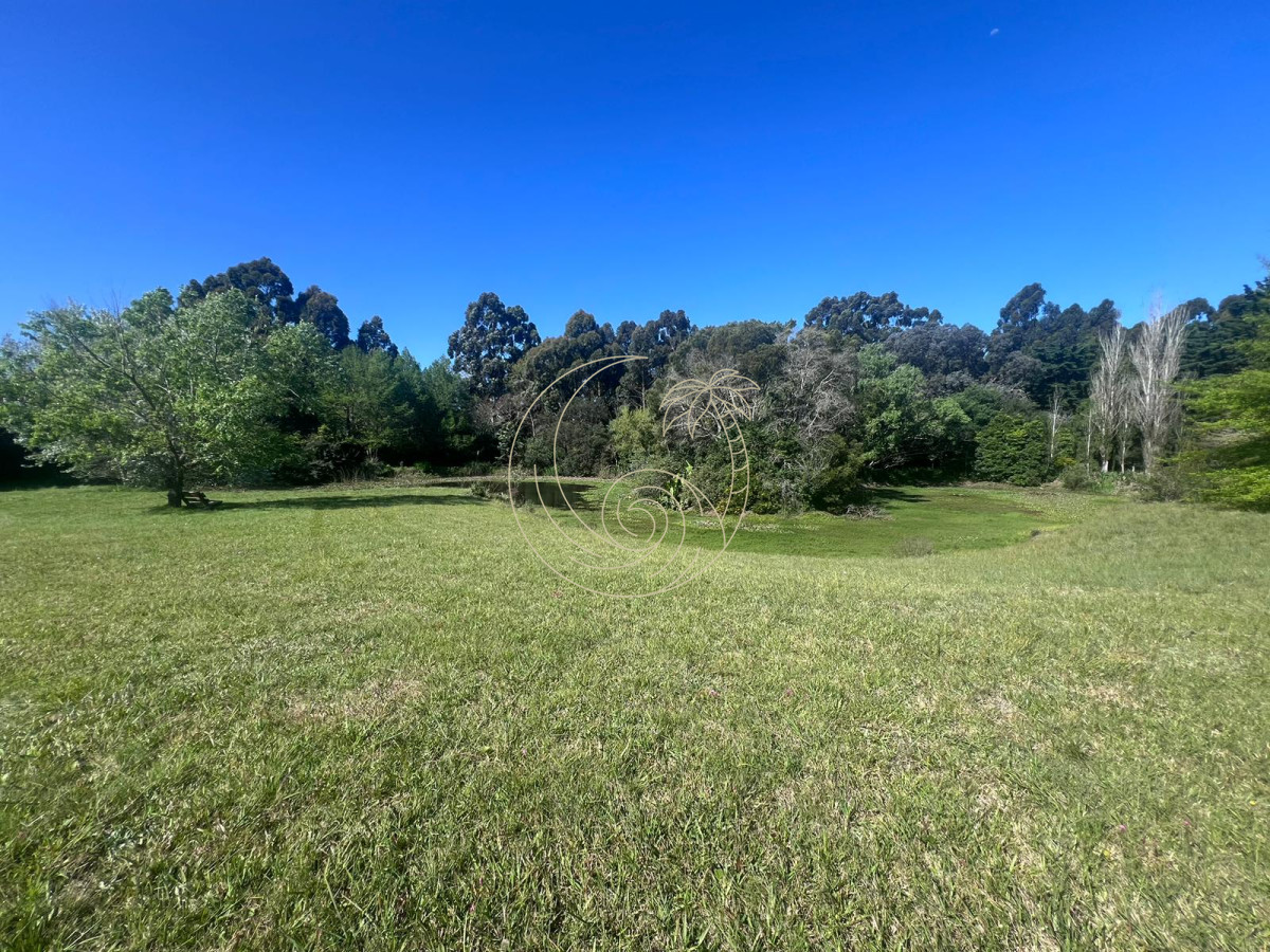 Chacra ID.21092703 - Chacra soñada en José Ignacio 