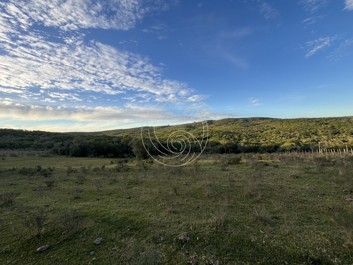 Chacra ID.21092963 - Oportunidad, Chacra en venta Pueblo Garzón (Frente a Bodega Garzón)