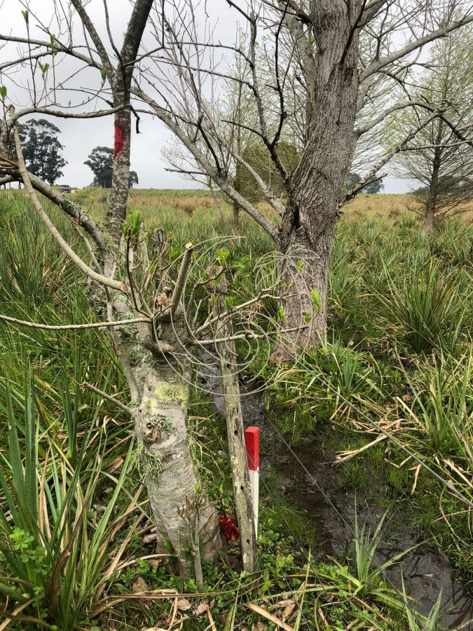 Chacra ID.21092415 - Chacra de 5 hectareas pegada al Barrio Cerrado El Quijote - La Barra 